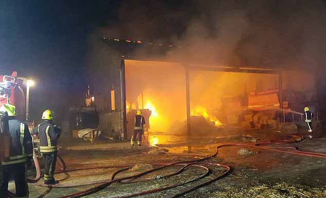 The 'Pewsey 18' were saved from this barn fire by firefighters from Pewsey Fire station. (Photo: Pewsey Fire Station)
