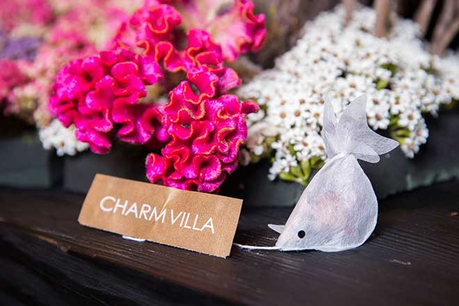 The Charm Villa goldfish tea bag can sell for up to $20 per tea bag in America. (Photo: Facebook/Charm Villa)