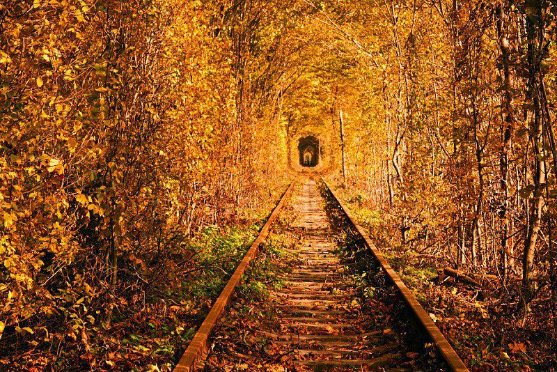 The Tunnel of Love near Klavan, Ukraine. (Photo: Wikimedia/greentourua)