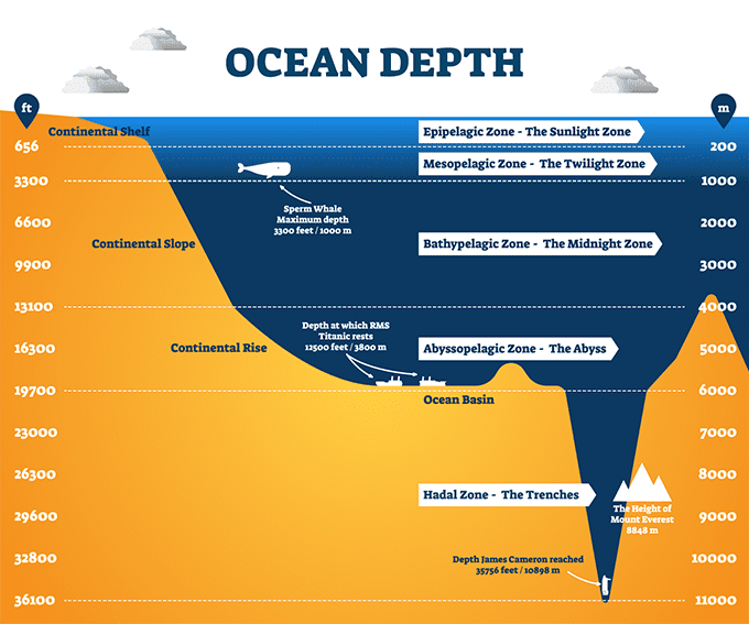 Ocean depth layers showing the mesopelagic and bathypelagic zones where the black swallower resides. (Image: Shutterstock)
