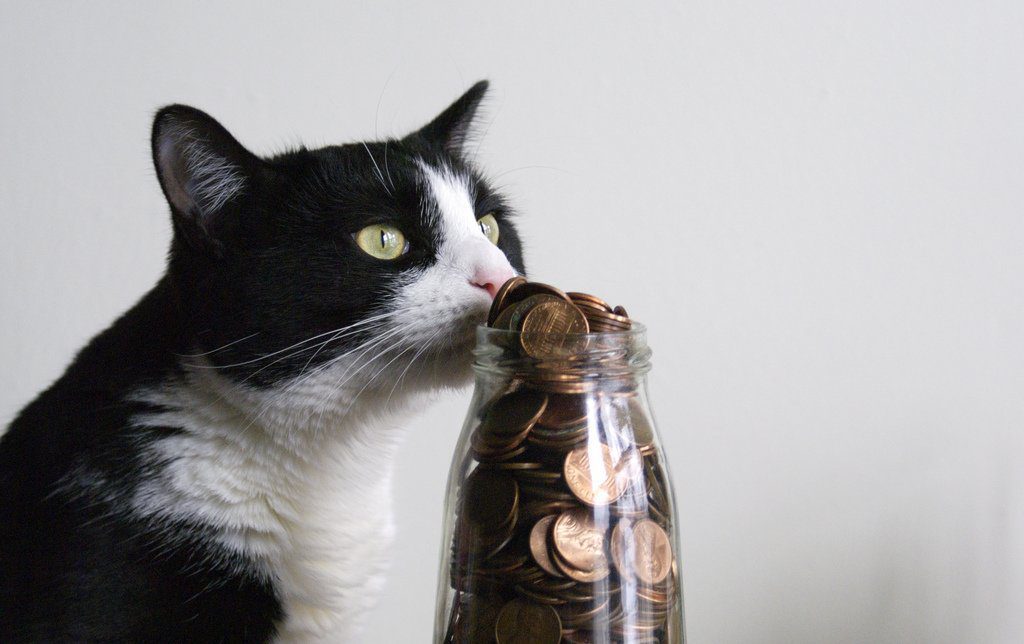 Another 250,000 jars and Abby wouldn't just be dreaming of performing donuts in a Lamborghini Aventador (Photo: flickr.com/photos/formatc1/)