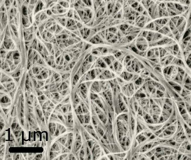 Carbon nanotubes are not visible to the naked eye. The tubes resemble spaghetti which is convenient as the are fed to spiders in a water solution. Unconfirmed reports from the spider community suggest they may prefer the nanotubes on toast cut up into soldiers. (Photo: Wikimedia/Materialscientist)