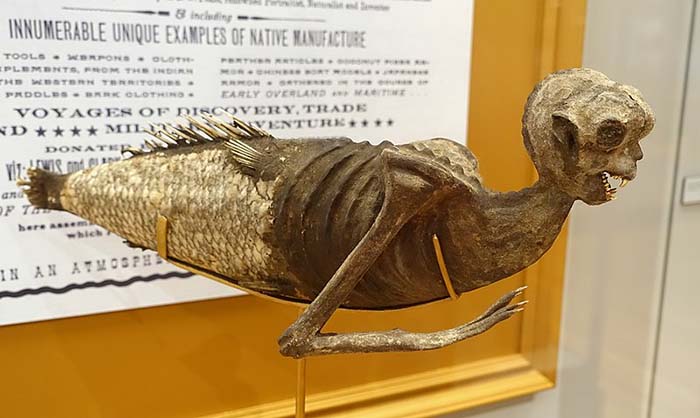 The Fiji mermaid was a feature of sideshows and exhibited by P.T Barnum in his museum. Typically it consisted of the head of a juvenile monkey sewn to the body of a fish. This model is made of papier-mâché, from the collection of Moses Kimball. (Photo: Wikimedia)
