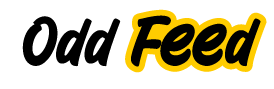 OddFeed Logo
