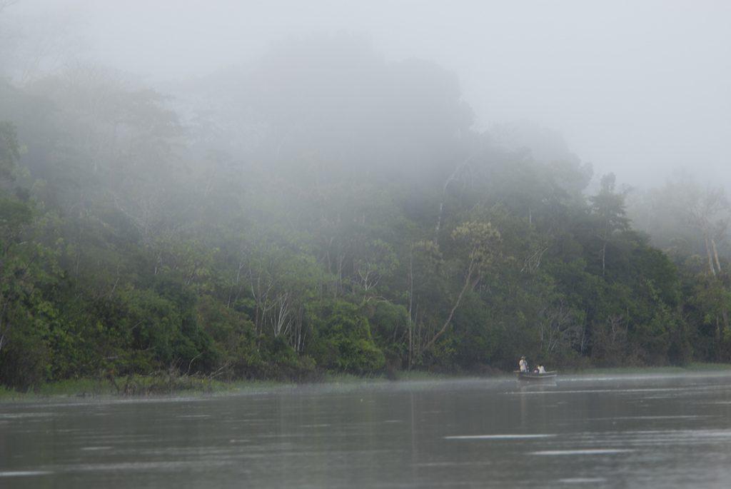 Tamshiyacu Tahuayo Regional Conservation Area, Iquitos, Amazon Rainforest, Peru. (Photo: Wikimedia Commons/EdwinJs)