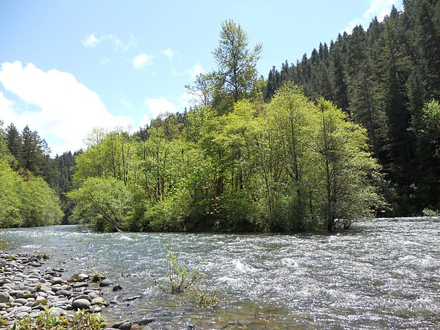 Local hydrologist, Dave Kretzing, has discovered that the lake's hole leads to a buried channel that forms a tributary of the McKenzie River. (Photo: Wikimedia/Jsayr64)