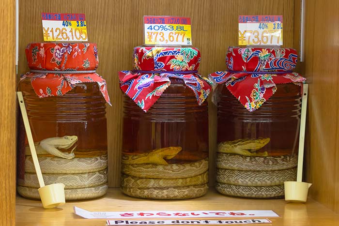 Alcoholic Awamori with snakes inside, sold at the liquor shop in Naha city, Okinawa Prefecture, Japan. (Photo: Shutterstock)