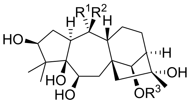 General chemical structures of grayanotoxins. (Image: Wikimedia/Edgar181)