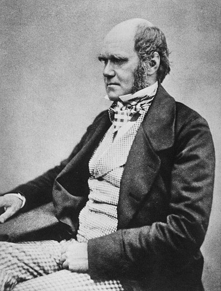 Photograph of Charles Darwin believed to have been taken in 1854. Charles Darwin acknowledged lactation in males of all mammals. (Photo: Wikimedia/Beao)