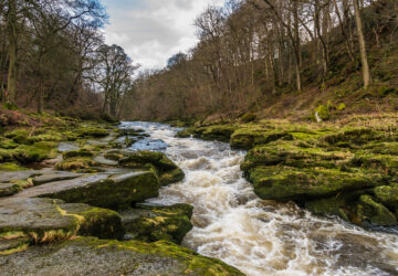 Is the Bolton Strid the Most Deadly Stretch of Water in the World?