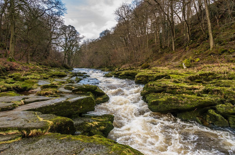 The Bolton Strid. A section of the River Wharfe where the river has gouged a narrow but deep channel with mossy slabs either side. (Photo: geograph.org.uk/Ian Capper)