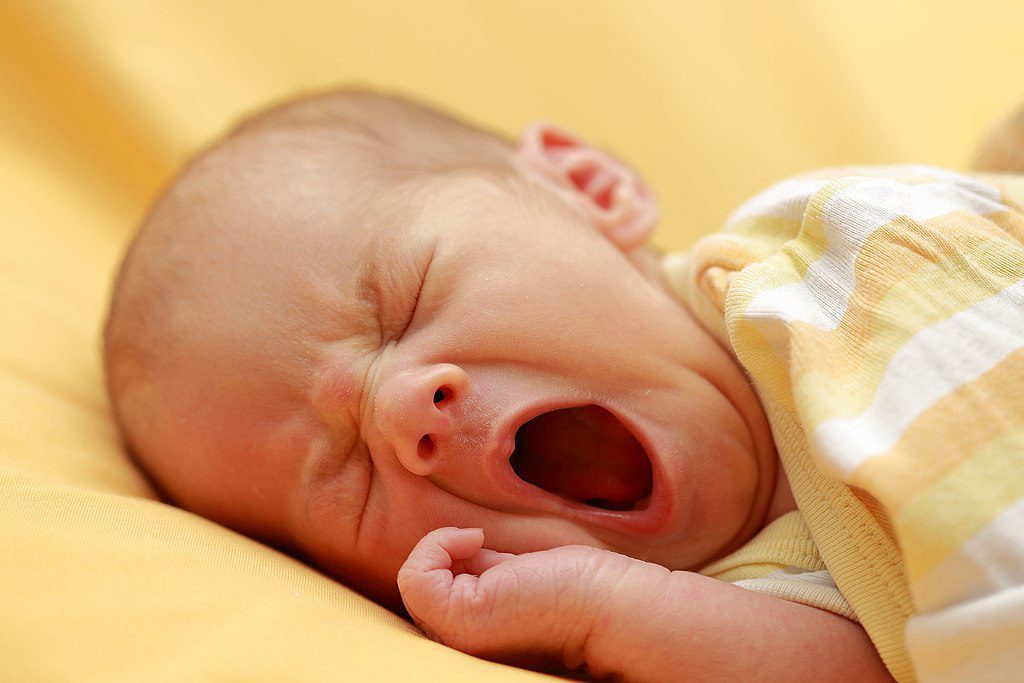 A newborn baby girl, yawning. (Photo: Wikimedia/Martin Falbisoner)