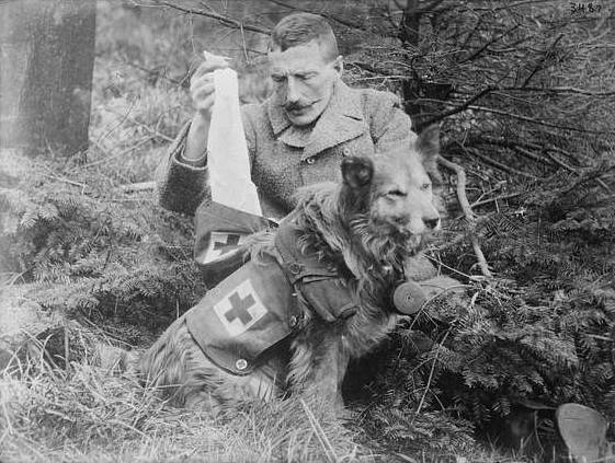 Photograph shows man getting bandages from a dog, during World War I. (Photo: Flickr Commons project)