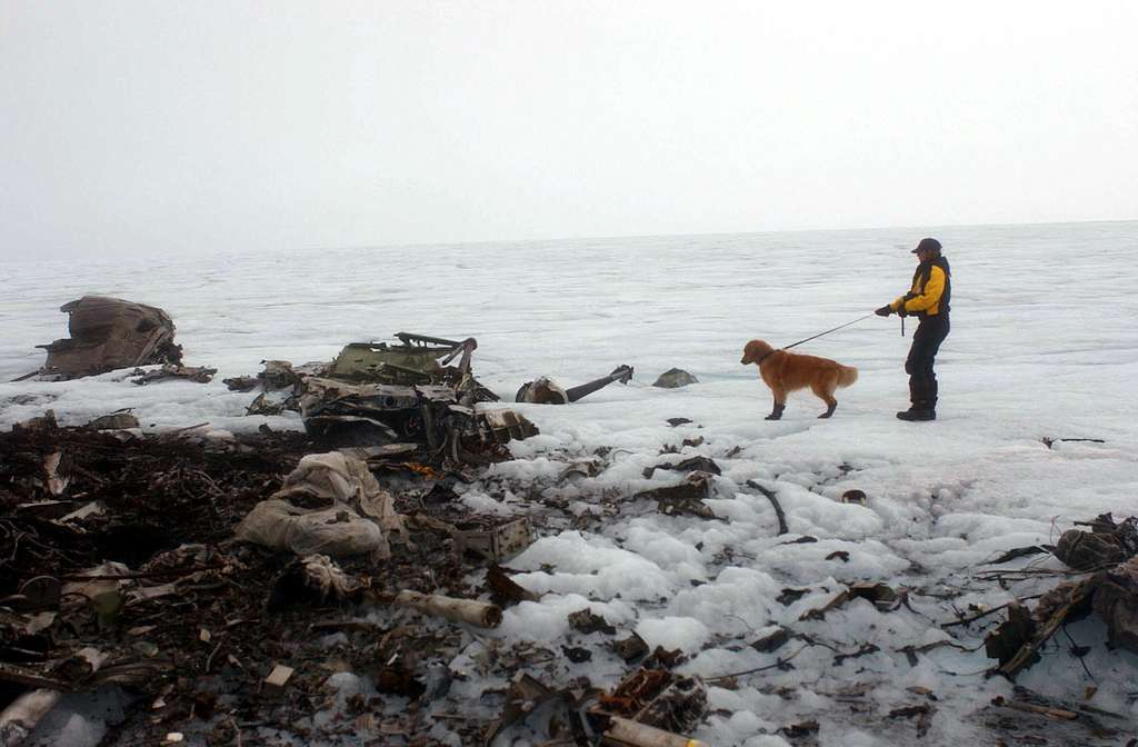 A volunteer from Bucks County Search and Rescue, and cadaver dog Tucker, search the wreckage of a Navy P-2V Neptune aircraft that crashed over Greenland in 1962. (Photo: Picryl/US Navy)