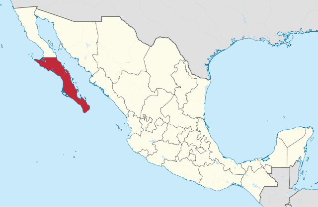 The walking cactus is unique to Baja California Sur in Mexico. (Image: Wikimedia)