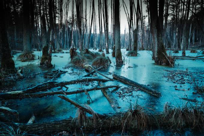 Swamp kikomora usually take the form of an old woman covered in dead and decomposing leaves. (Photo: Unsplash/Krystian Piątek)