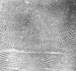 Do identical twins have the same fingerprints in a black and white photograph?