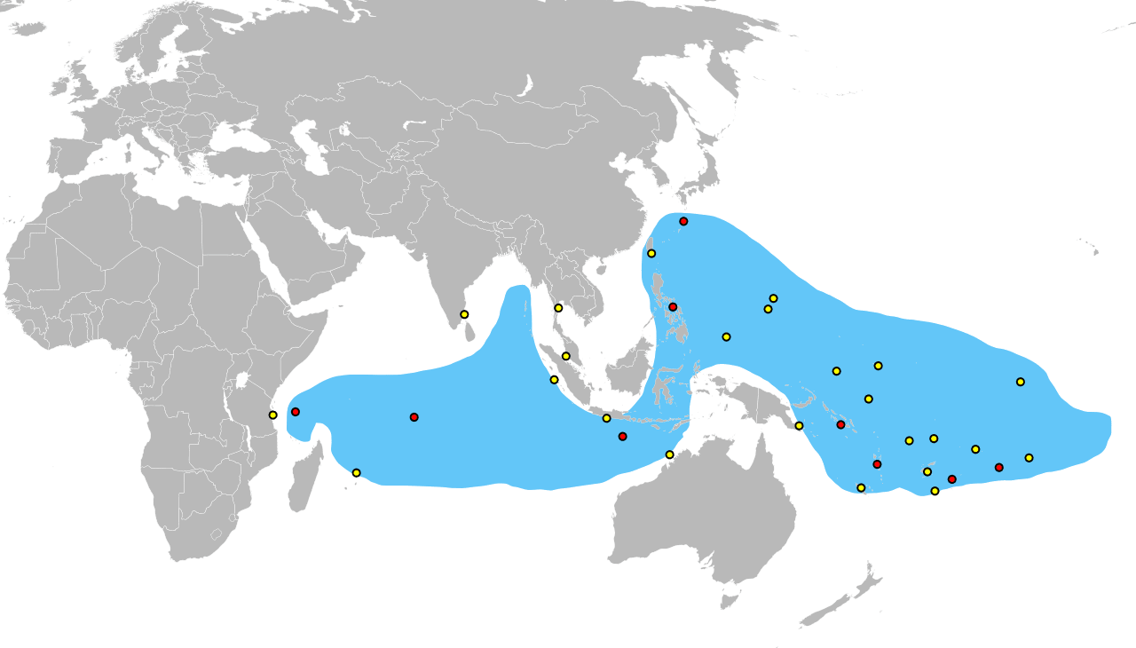 Distribution of the coconut crab.