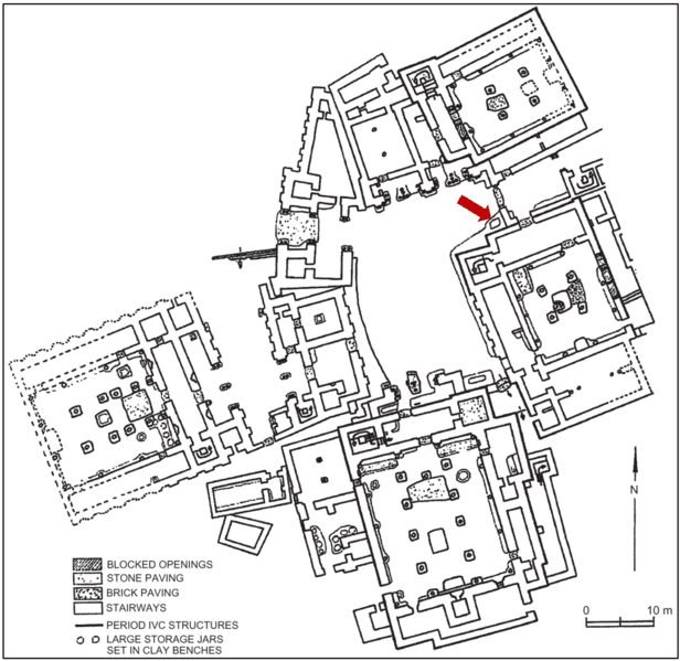 Diagram of the Teppe Hasanlu site, showing streets and major buildings