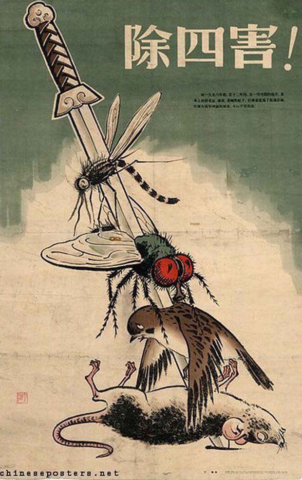  "Exterminate the four pests!" A 1958 Chinese poster. (Credit: Wikimedia)